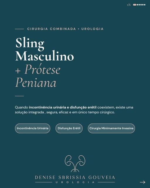 Publicação da Dra. Denise sobre Sling masculino e prótese peniana